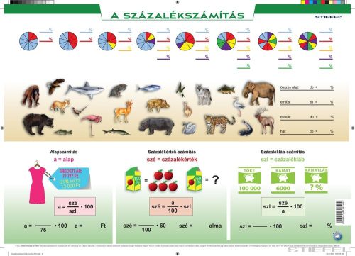 Százalékszámítás gyakorlóoldalas, A3 alátét duo