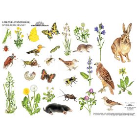 A mező életközössége (applikációs készlet)