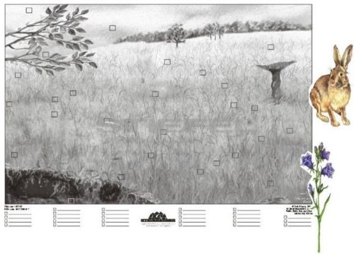 A mező életközössége (applikációs készlet)