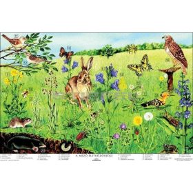 A mező életközössége DUO 