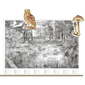 Az erdő életközössége (applikációs készlet)