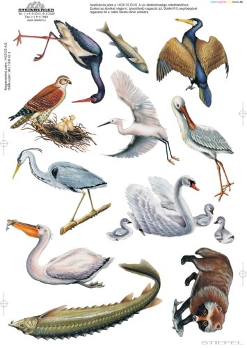 A folyóvíz életközössége (applikációs készlet)