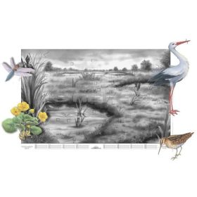 A mocsár életközössége applikációs készlet