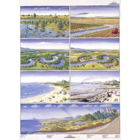 A veszélyeztetett természet 3-4. DUO