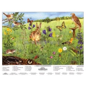 A mező életközössége + munkaoldal tanulói munkalap