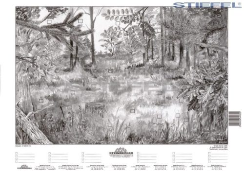 Az erdő életközössége + munkaoldal tanulói munkalap