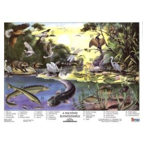   A folyóvíz életközössége + munkaoldal tanulói munkalap