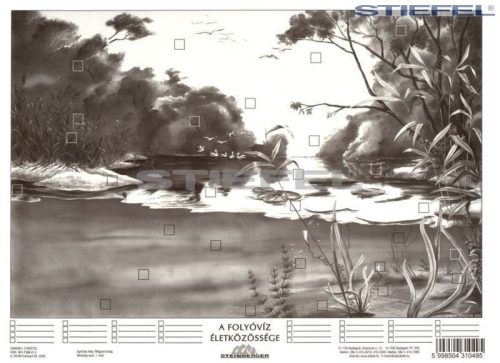 A folyóvíz életközössége + munkaoldal tanulói munkalap