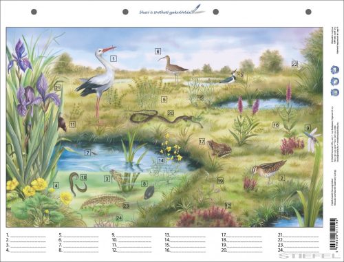 A mocsár életközössége + munkaoldal tanulói munkalap