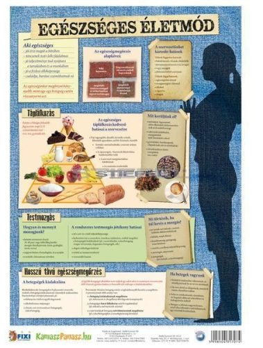 Szexuális úton terjedő betegségek / Egészséges életmód tanulói munkalap