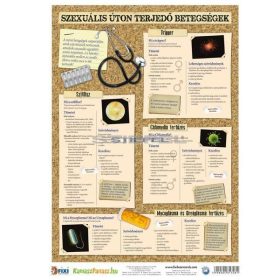   Nemi betegségek 2.-3. (vírusok / bakteriális fertőzések) tanulói munkalap