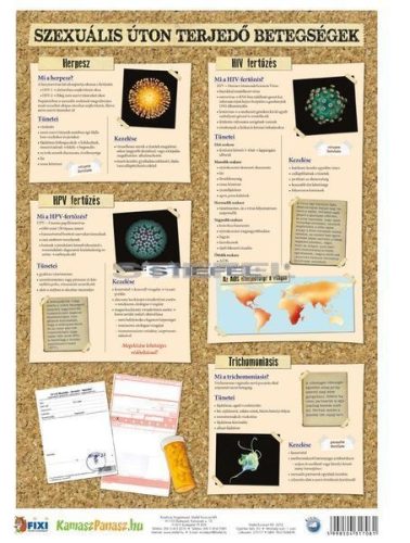 Nemi betegségek 2.-3. (vírusok / bakteriális fertőzések) tanulói munkalap