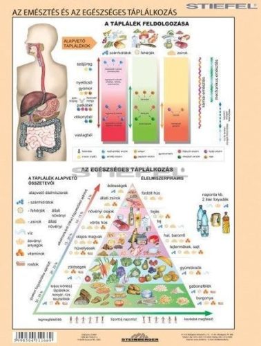 Az emésztőrendszer + Az emésztés DUO tanulói munkalap