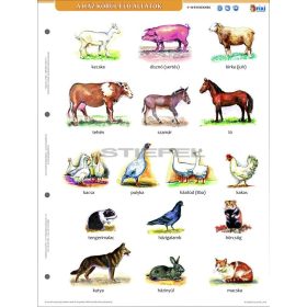 Ház körül élő állatok + munkaoldal tanulói munkalap