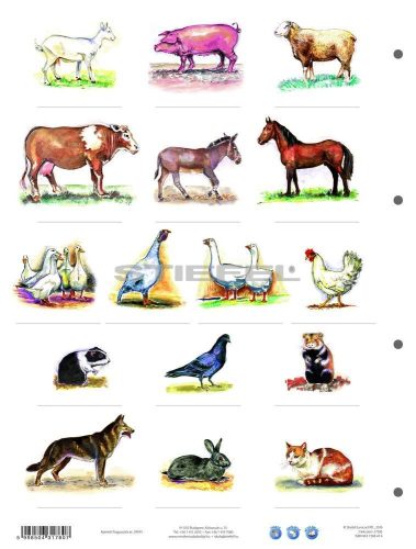 Ház körül élő állatok + munkaoldal tanulói munkalap