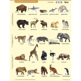   Vadon élő állatok lefűzhető tanulói munkalap+munkaoldal