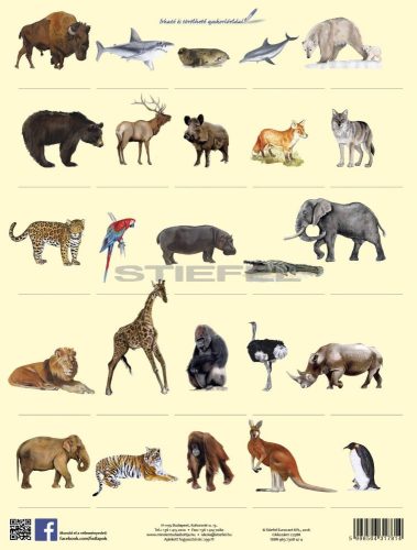 Vadon élő állatok lefűzhető tanulói munkalap+munkaoldal