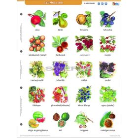 Gyümölcsök + munkaoldal tanulói munkalap