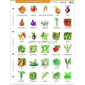 Zöldségek + munkaoldal tanulói munkalap