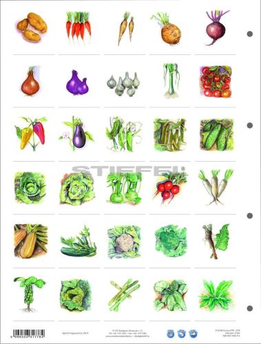 Zöldségek + munkaoldal tanulói munkalap