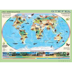 A Föld állatai - kisméretű falitérkép