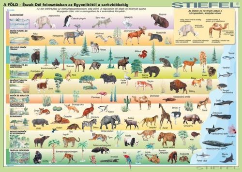 A Föld állatai - kisméretű falitérkép