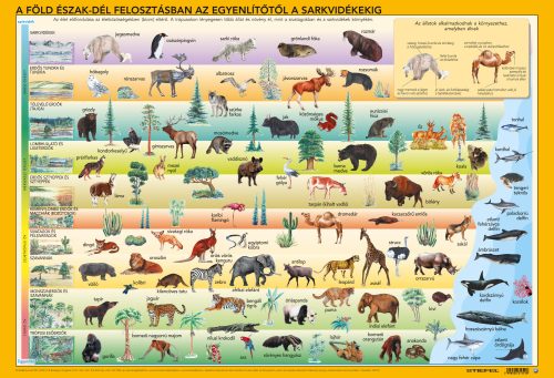Világ állatai/állatok élőhelye íróasztali könyöklő