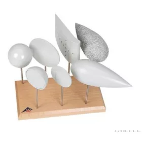 Különböző formájú testek