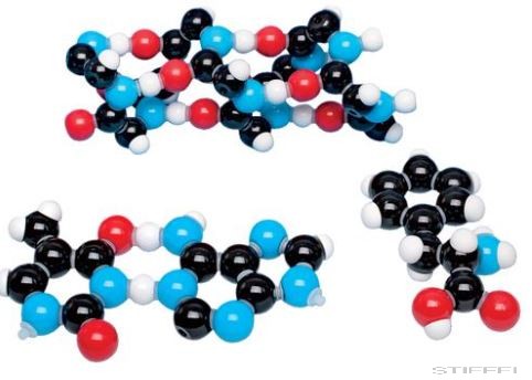 Biokémia készlet, összetett modellek - Tanári