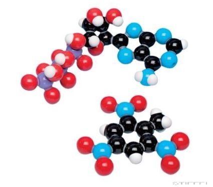Biokémia készlet, összetett modellek - Tanári