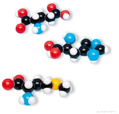 Aminosav modell, 7 db