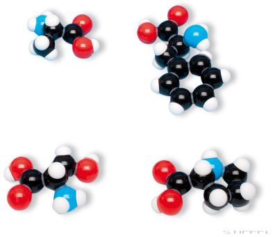Aminosav modell, 7 db