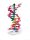 12 bázispár mini DNS modell