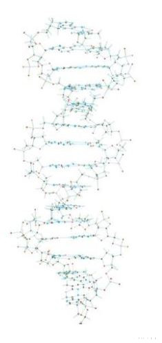 DNS-modell