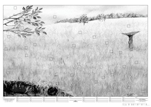 A mező életközössége faléces tabló