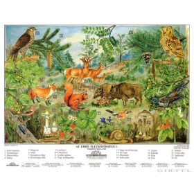 Az erdő életközössége fémléces, fóliázott