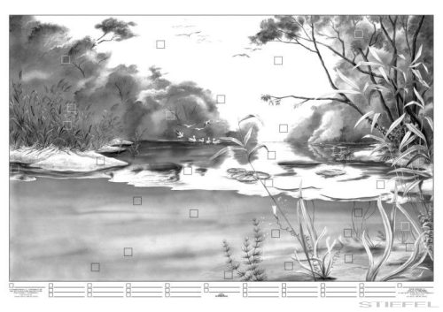 A folyóvíz életközössége faléces tabló