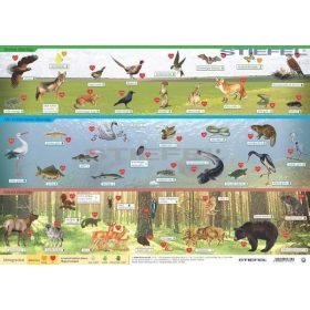 Magyarország vadon élő állatai