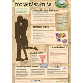 Fogamzásgátlás - fali oktatótabló