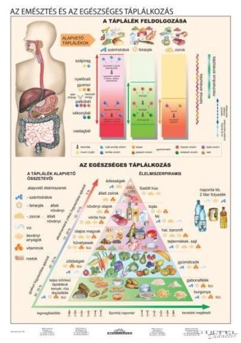 Emésztés és egészséges táplálkozás DUO