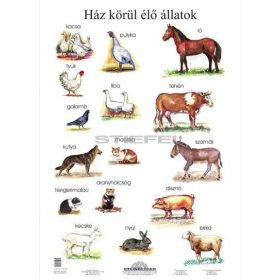 Ház körül élő állatok