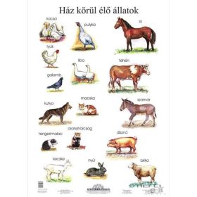 Ház körül élő állatok