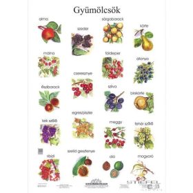Gyümölcsök (fóliás-fémléces)