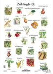 Zöldségfélék (fóliás-fémléces)