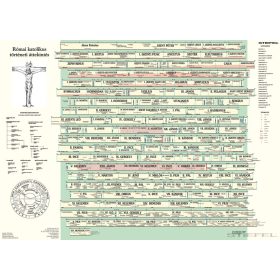   Római katolikus egyháztörténeti áttekintés oktatótabló