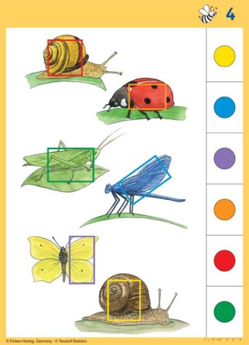 LOGICO Primo feladatkártyák Állatok és növények