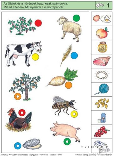 LOGICO Piccolo feladatkártyák Iskolakezdés: Megfigyelés - Felfedezés - Mesélés
