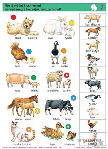 LOGICO Piccolo feladatkártyák Ismeretek 1-2. osztály: Házi-, hobbi- és vadon élő állatok