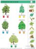 LOGICO Piccolo feladatkártyák Ismeretek 2-3. osztály: Erdők, szántóföldek és kertek növényei