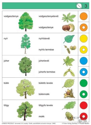 LOGICO Piccolo feladatkártyák Ismeretek 2-3. osztály: Erdők, szántóföldek és kertek növényei